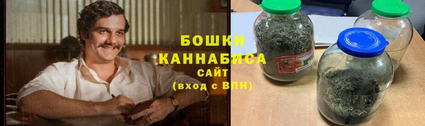 шишки Абаза