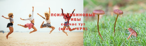 тгк Михайловка
