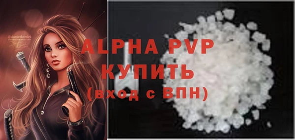 шишки Абаза