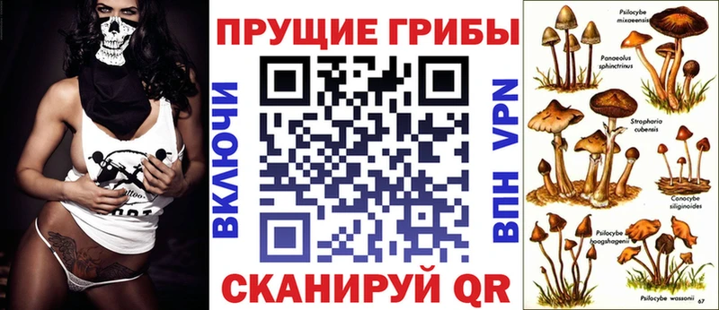Галлюциногенные грибы Psilocybine cubensis  купить  сайты  Ильский 